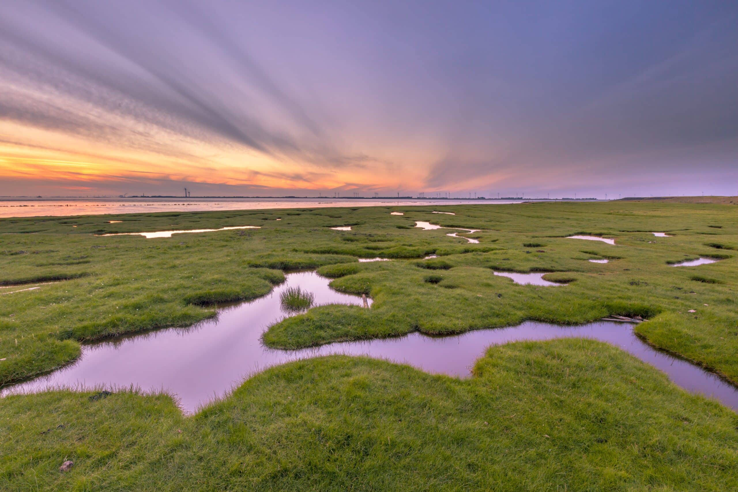 TFI and Ag CEOs Talk WOTUS with EPA’s Regan