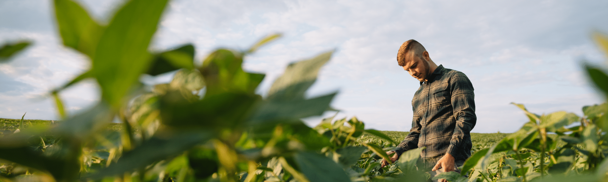 Keep Fertilizer on the Farm: Using the 4R Framework to Support Sustainable Nutrient Management in the Northern Great Plains